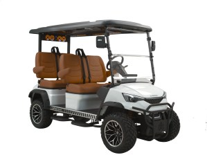 White Brown Dach Apollo Lithium Golf Cart For Sale
